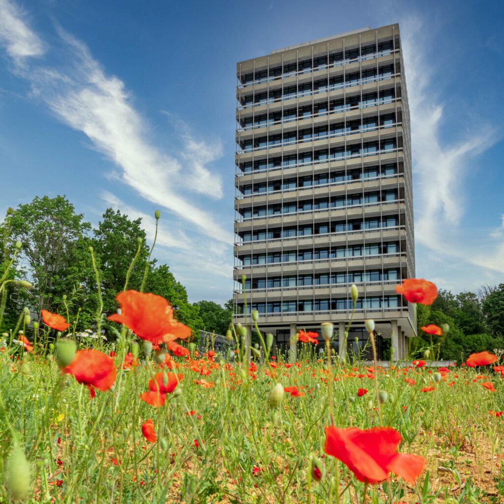 Die Materialprüfungsanstalt Uni Stuttgart im Frühling